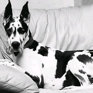 Meet your Posher, Caroline